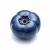 Blaubeere