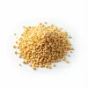 Quinoa