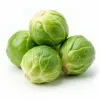 Rosenkohl