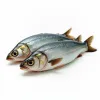 Sardinen