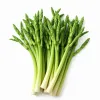 Grüner Spargel